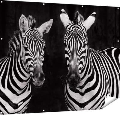 Gards Tuinposter Twee Zebra's - Zwart Wit - 150x120 cm - Tuindoek - Tuindecoratie - Wanddecoratie buiten - Tuinschilderij