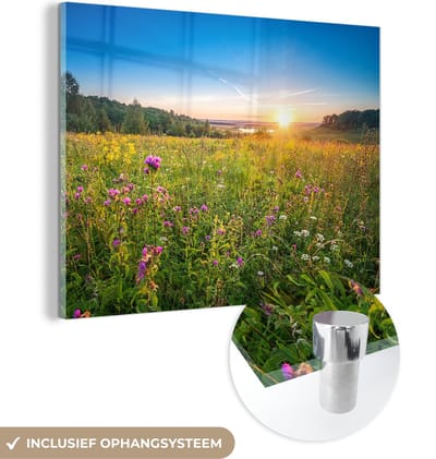 MuchoWow® Glasschilderij 40x30 cm - Schilderij acrylglas - Zon - Gras - Bloemen - Foto op glas - Schilderijen