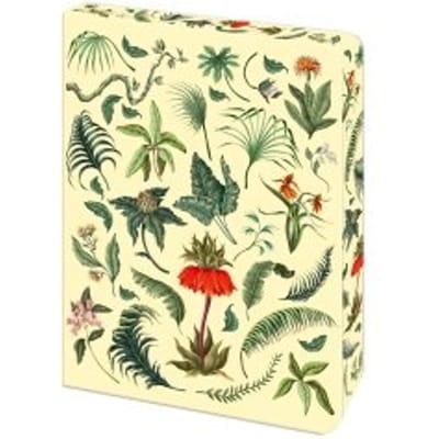 The Fern Journal - Arcturus Vintage Journals - Arcturus Publishing Limited