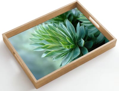 Dienblad hout 50x35 cm - Schootdienblad - Blad - Plant - Groen - Textuur - Borrelplank rechthoek - Plateau dienbladen