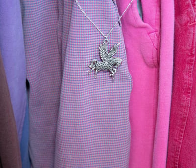 GoedeDoelen.Shop | Ketting Pegasus | Vliegend Paard | Paarden Ketting | Pegasus Ketting | Love Horses | Paarden | Wellness-House