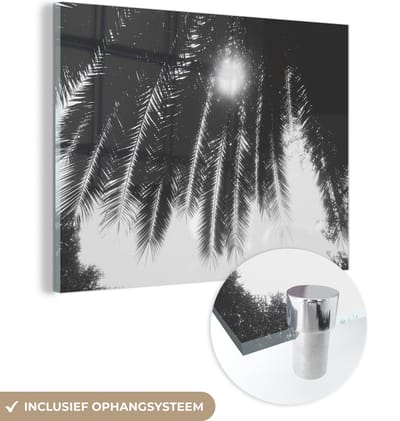 MuchoWow® Glasschilderij 40x30 cm - Schilderij acrylglas - Palmbladeren - Tropisch - Zon - Palmboom - Foto op glas - Schilderijen