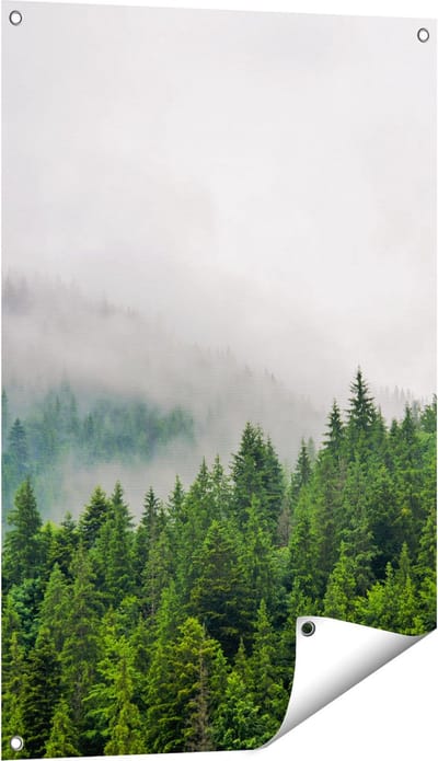 Gards Tuinposter Groen Bos met Bomen tijdens de Mist - 60x90 cm - Tuindoek - Tuindecoratie - Wanddecoratie buiten - Tuinschilderij