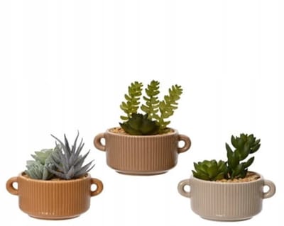 Kaemingk - Decoratieve Kunstplant - Cactus - 13x13 cm - Ovale Pot