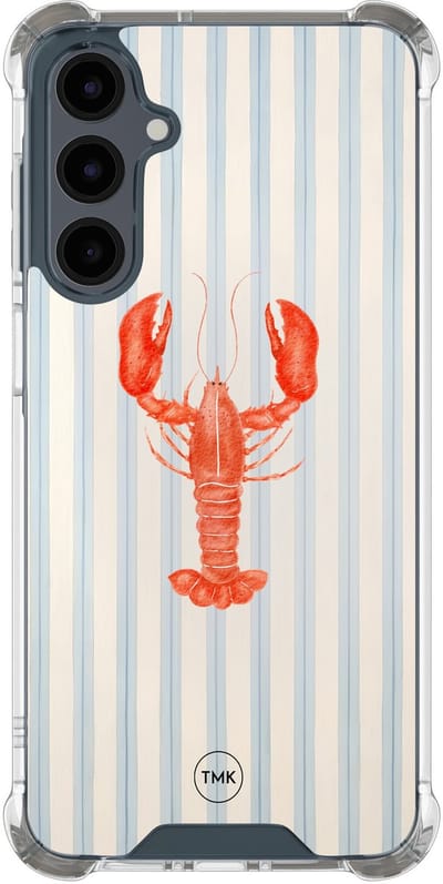 Shockproof hoesje geschikt voor Samsung Galaxy A17 - Kreeft - Schokbestendig - Verhoogde randen - TPU case - Extra Sterke Back Cover - Gestreept - Transparant, Blauw