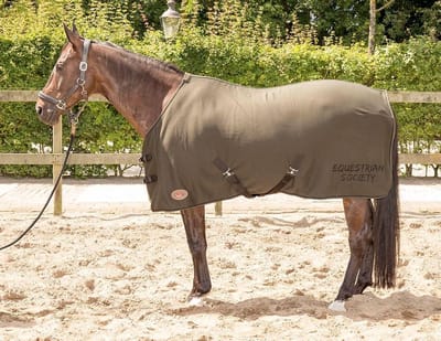 Harry's Horse Jersey fleece/cooler deken Forest night 175cm Forest night