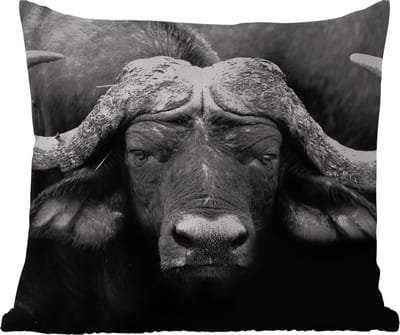 Tuinkussen - Dieren - Buffalo - Zwart - Wit - Portret - 40x40 cm - Weerbestendig