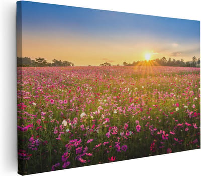 Artaza Canvas Schilderij Cosmea Bloemenveld - 30x20 cm - Klein - Wanddecoratie Bloemen - Muurdecoratie Landschap - Kamer Accessoires
