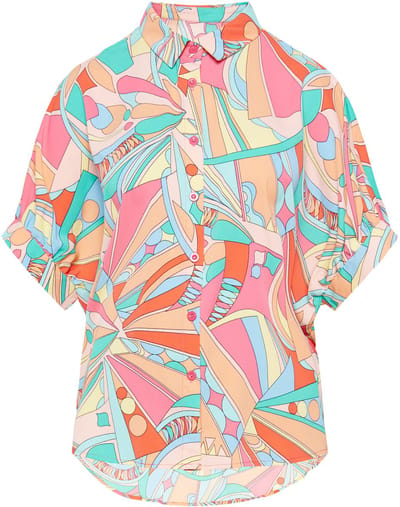 usha Blouse