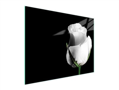 TMK ArtDeko - Snijplank van Glas - 52x40 cm - Róża