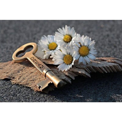 Diamond Painting Bloemen Landschap Ronde Diamond Mozaïek Tulpen Bloem Borduren Kruissteek 20X30CM gray