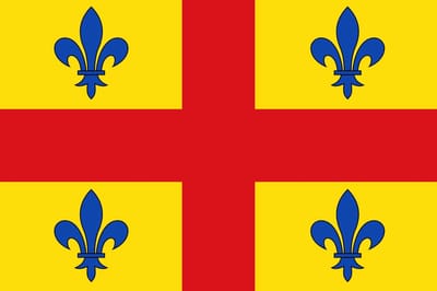 Vlag Lint 100x150cm