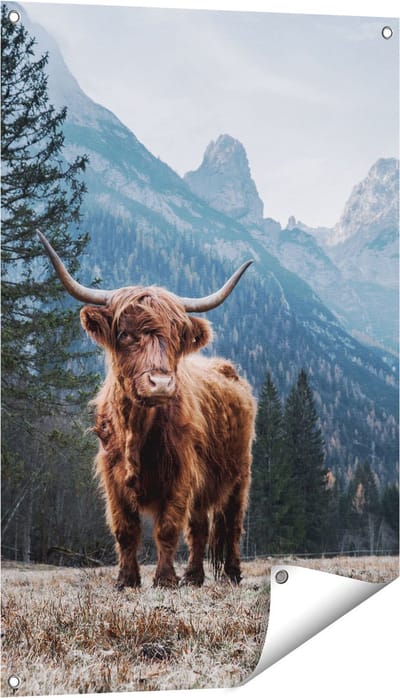 Gards Tuinposter Schotse Hooglander Koe in de Bergen - 60x90 cm - Tuindoek - Tuindecoratie - Wanddecoratie buiten - Tuinschilderij