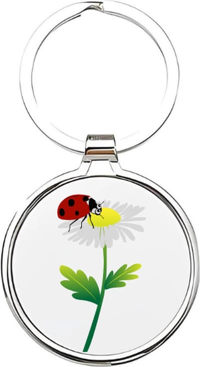 Akyol - lieveheersbeestje Sleutelhanger - Lieveheersbeestje - dierenliefhebbers - insecten - kever - keverbeestje - dieren - bloemen - bloemen sleutelhangers - geluksbrenger - cadeau voor dierenliefhebbers - insect - kapoentje - 4 x 7,5 CM