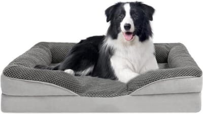 Thuys - Rieten Hondenmand - Hondenbench - Hondenbed