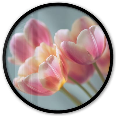 Poster in lijst Rond - Fotolijst 40x40 cm - Posters - Tulpen - Roze - Stelen - Ronde posterlijst zwart - Decoratie - Wanddecoratie woonkamer - Muurdecoratie slaapkamer
