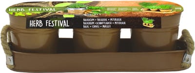 Herb Festival - 3 (Brons)