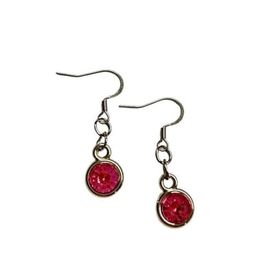 2 Love it Bling - Oorbellen - Stainless steel - Fuchsia roze - Zilverkleurig