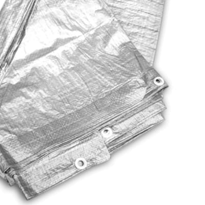 Dailygoody dekzeil - Beschermend dekzeil - Zilver 120 g/m² - 2 m x 3 m - Veelzijdig gebruik - Ideaal voor tuin en transport