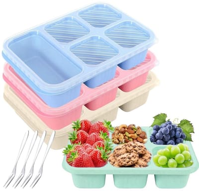 Dailygoods- Bento Snack Box - 5 Vakken - Herbruikbaar - Vaatwasmachinebestendig - Maaltijdvoorbereidingscontainer - Perfect voor School/ Werk - Lunchbox