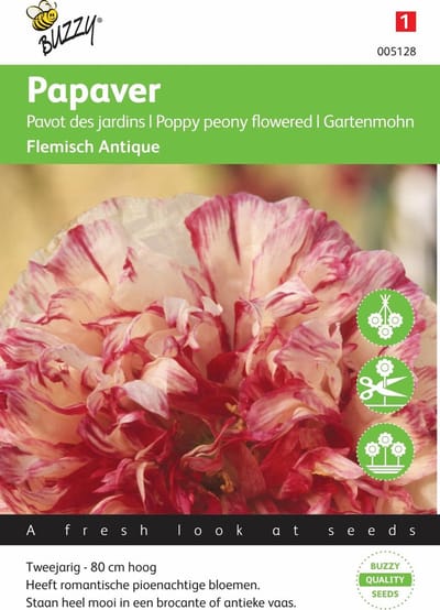 Buzzy® Papaver Flemish Antique