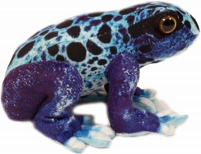 Pia soft Toys Knuffeldier Kikker - gifkikker tinctorius azureus - premium kwaliteit knuffels - blauw - 24 cm