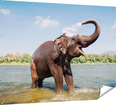 Gards Tuinposter Vrolijke Olifant in het Water - 160x120 cm - Tuindoek - Tuindecoratie - Wanddecoratie buiten - Tuinschilderij