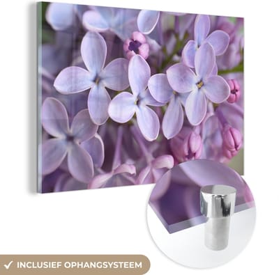 ® Glasschilderij 180x120 cm - Schilderij acrylglas - Close up van paarse seringen bloemen - Foto op glas - Muurdecoratie woonkamer - Wanddecoratie slaapkamer - Schilderijen