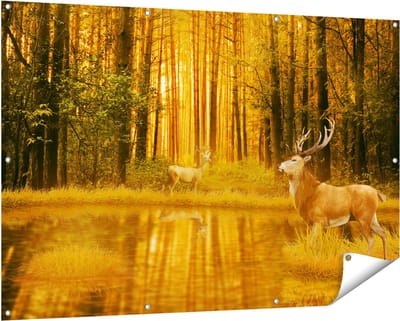 Gards Tuinposter Twee Herten in het Bos bij het Water - 150x100 cm - Tuindoek - Tuindecoratie - Wanddecoratie buiten - Tuinschilderij