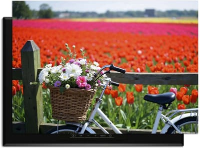 KitchenArt - Spring Ride - Inductie Beschermer - 83x51.5 cm - Kookplaat Beschermer - Luxe Afdekplaat Inductieplaat - Anti-slip & Oprolbaar - Beschermmat Inductiekookplaat