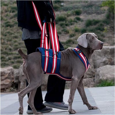 Honden Ondersteuning Harnas - Honden Hulp G Relative - Mobiliteit Verbeteren - Ergonomisch Unisex Ontwerp - Maat L - Zwart