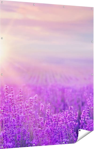 Gards Tuinposter Bloemenveld met Paarse Lavendel - 120x160 cm - Tuindoek - Tuindecoratie - Wanddecoratie buiten - Tuinschilderij