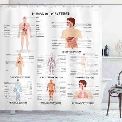 ABAKUHAUS Douchegordijn 175x240 cm – Polyester, perzik-wit