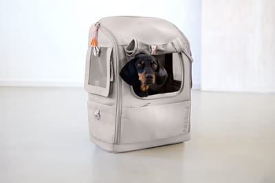 Palopa rugzak-draagtas voor de hond Kari - Taupe / S