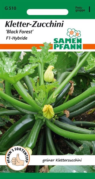 Courgette, Zwarte Woud F1, Klimcourgette - Groentezaden Courgettezaden