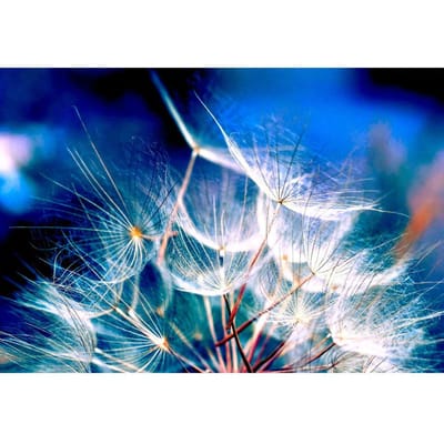 Diamond Painting Verf Diamond Painting paardenbloem foto's Landschap Borduren Ronde Boor Europees 20X30CM blue