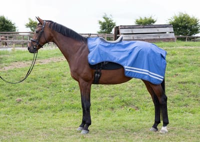 Harry's Horse Uitrijdeken Waterdicht 0gr Fleece WI23 M Blauw