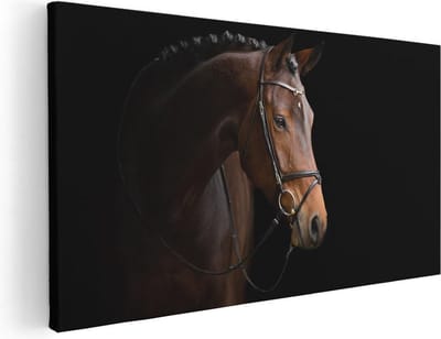 Artaza Canvas Schilderij Paard - 40x20 cm - Klein - Wanddecoratie Dieren - Muurdecoratie Paardenhoofd - Schilderijen Op Canvas