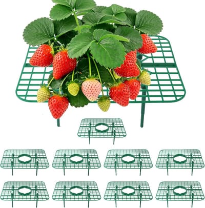 VHV - Aardbeienhouder - Plantensteun - Aardbeien planten steun - Moestuin accessoires - Set van 10 - Verhoogd - Voorkomt schimmel en rot - Voor de moestuin en tuin - Groen