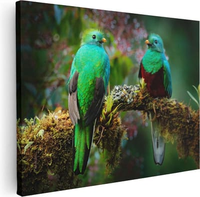 Artaza Canvas Schilderij Quetzal - 40x30 cm - Klein - Wanddecoratie Vogels - Muurdecoratie Tropisch - Kamer Accessoires Woonkamer