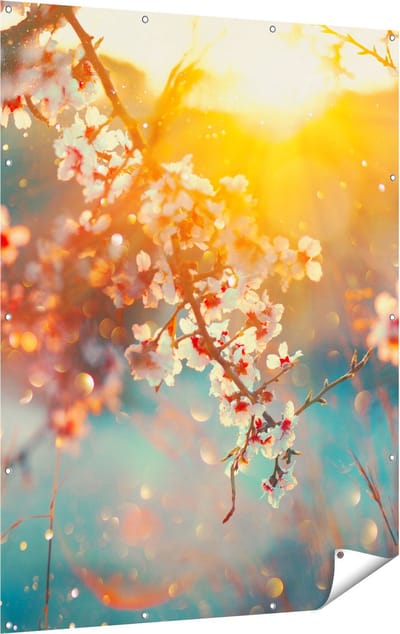 Gards Tuinposter Bloesemboom tijdens Zonsondergang - Bloem - 120x160 cm - Tuindoek - Tuindecoratie - Wanddecoratie buiten - Tuinschilderij