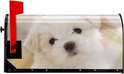 Brievenbus Cover - Huisdecoratie - Tuin Decoratie - Magnetisch en Waterdicht - Maltezer Puppy