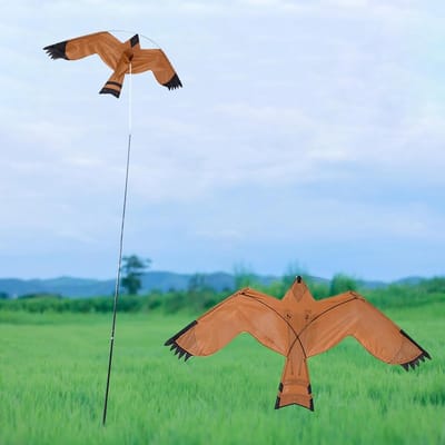 Vogelverschrikker Vlieger - Havik Vlieger - Gewassen Beschermen - Verbeterde Luchtbeweging - 125 x 60 cm - Zwart