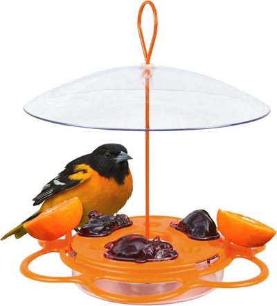 Vogel Voederstation - Oriool Buffet - Vogels Voeren - Meerdere Voeders - 21.6 x 12.7 x 26.7 cm - Oranje