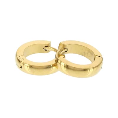 Kalli edelstalen Oorbel 1830 Goud 12mm