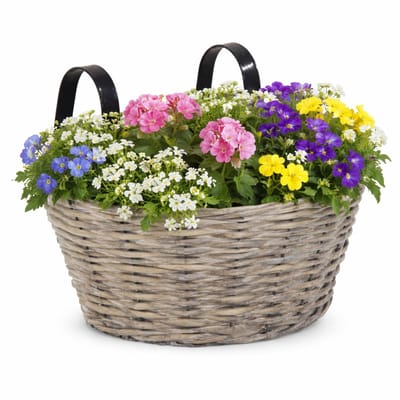 Mega collections Balkon plantenmand - grijs - wilg - L35 x B20 cm - bloempot/plantenpot
