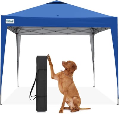 Vouwpaviljoen - Feesttent Tuintent - Buitenfeesten Organiseren - Pop-up Kliksysteem - 3 x 3 meter - Lichtblauw