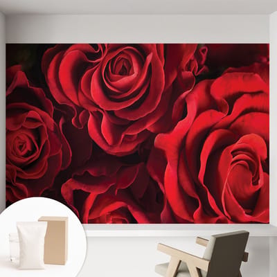 Coloray Behang - Rode rozen Behangrol - 152x104 cm - Rood Behang - Voor liefhebbers van romantische bloemenmotieven - Behang Voor de slaapkamer, woonkamer en hal - Vliesbehang Bloemen en planten