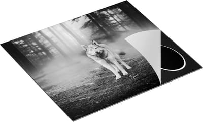 Chefcare Inductie Beschermer Grijze Wolf in het Bos - Zwart Wit - 60x50 cm - Afdekplaat Inductie - Kookplaat Beschermer - Inductie Mat