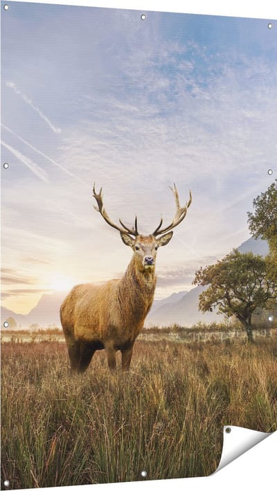 Gards Tuinposter Hert in het Landschap - 100x150 cm - Tuindoek - Tuindecoratie - Wanddecoratie buiten - Tuinschilderij